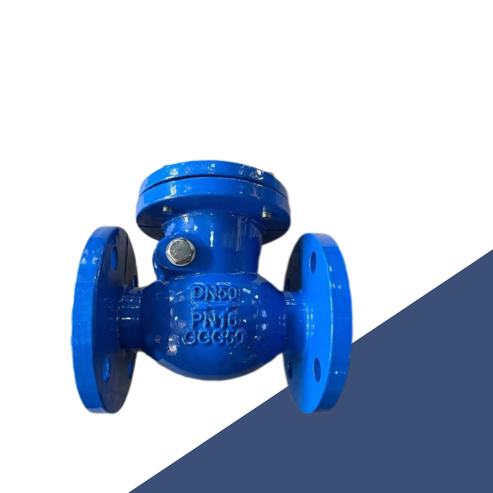 Check Valve
